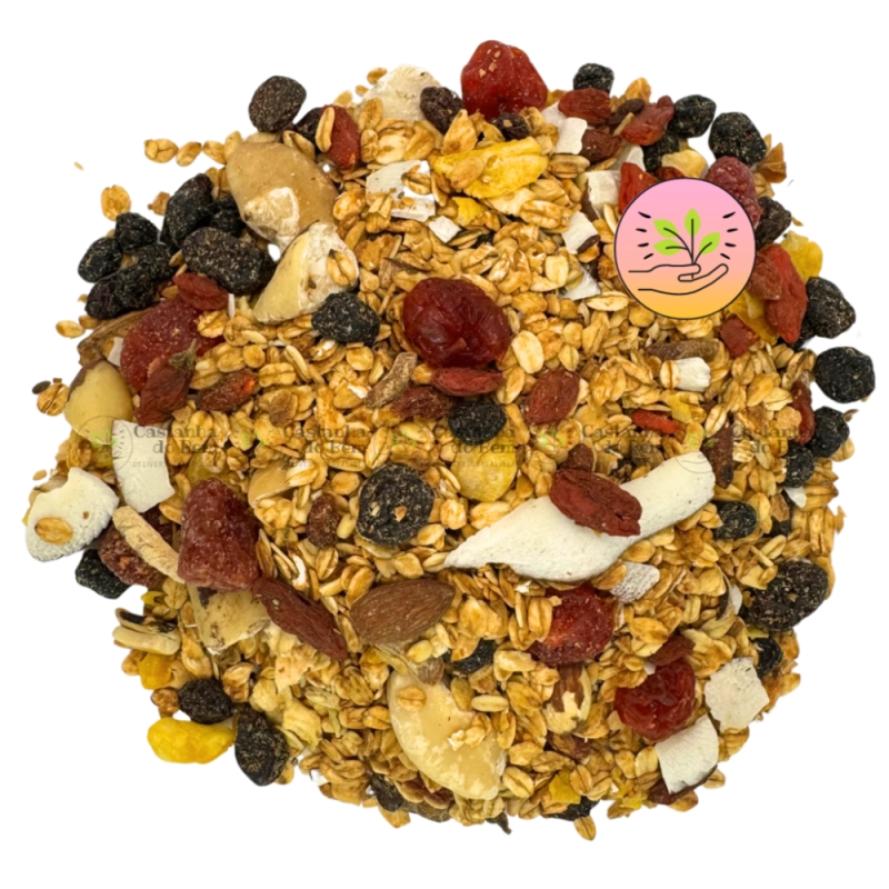 Granola Frutas Vermelhas